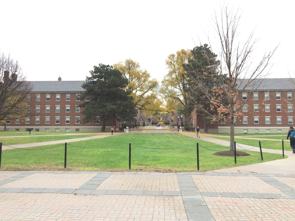 The Quad