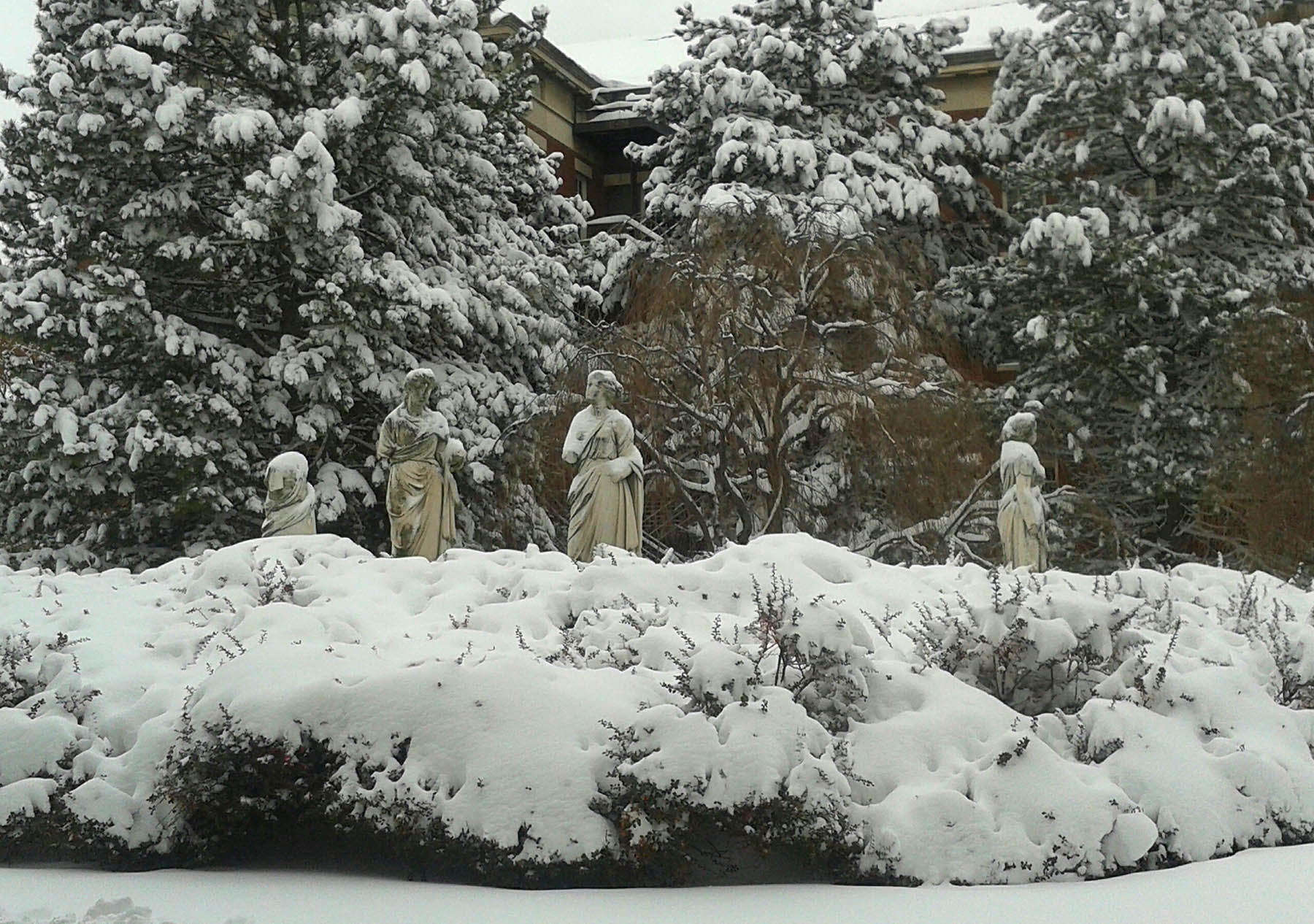 meliora madams in snow