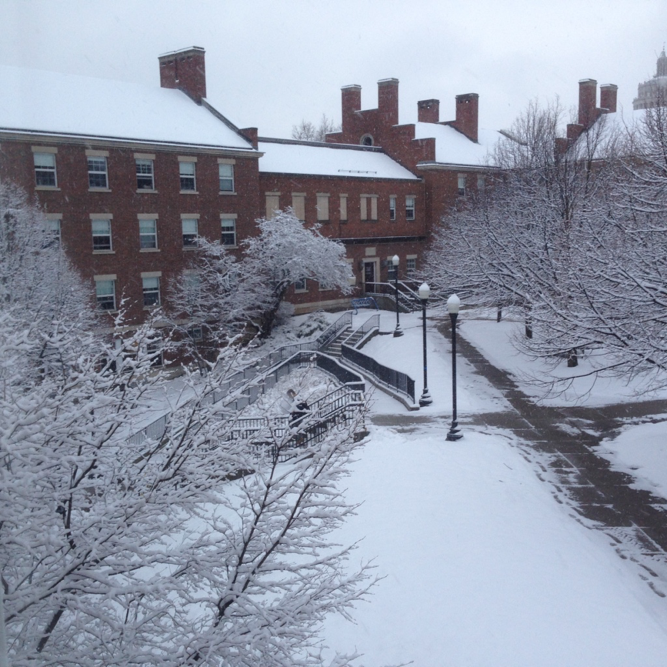 The Freshman Quad, covered in snow...