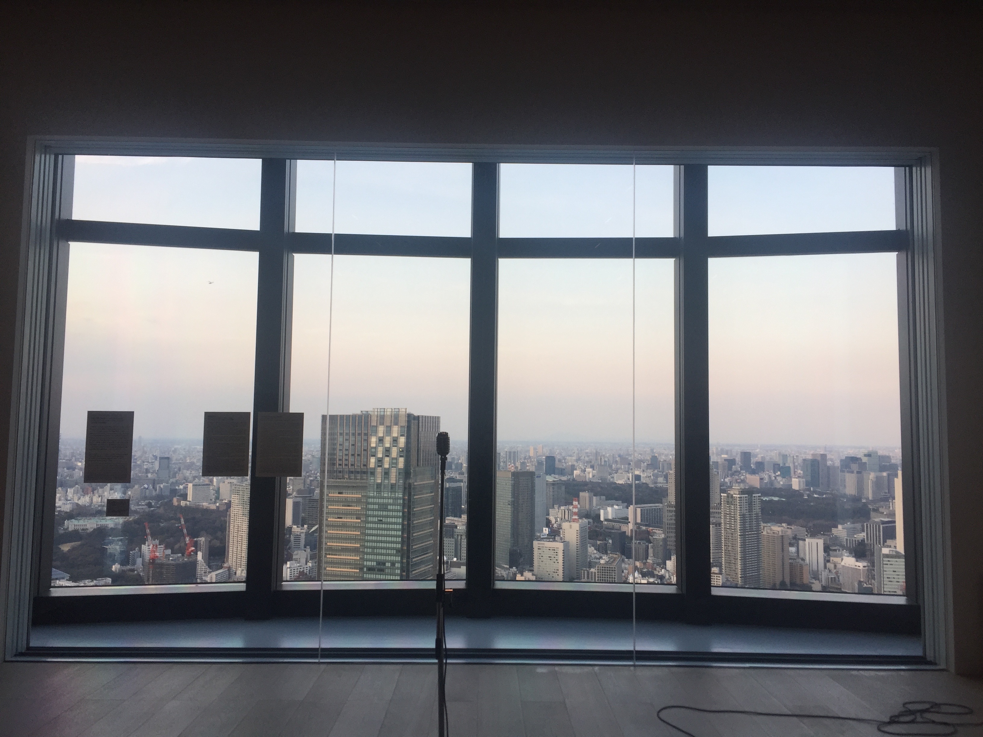 Incredible view of Tokyo from skydeck!