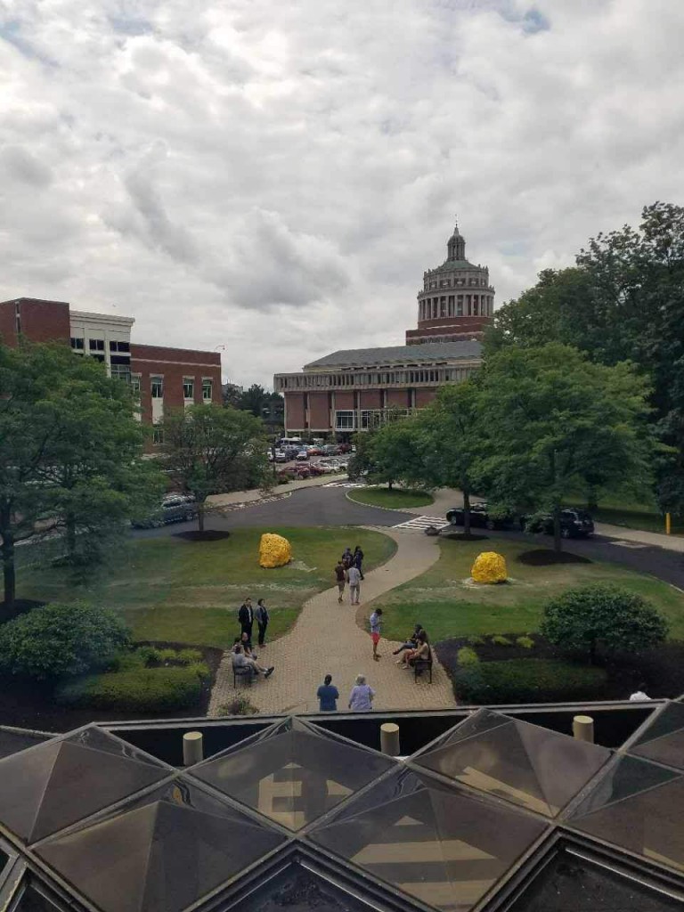 A View of Rush Rhee's from Susan B Hall.