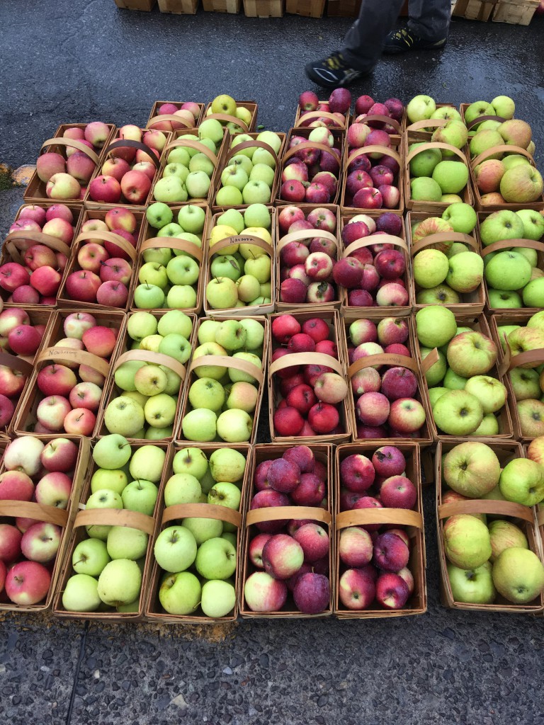 Large selection of red and green apples in baskets