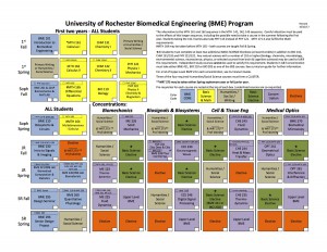This is the diagram I based my BME schedule on! Most departments have something similar to get you started.