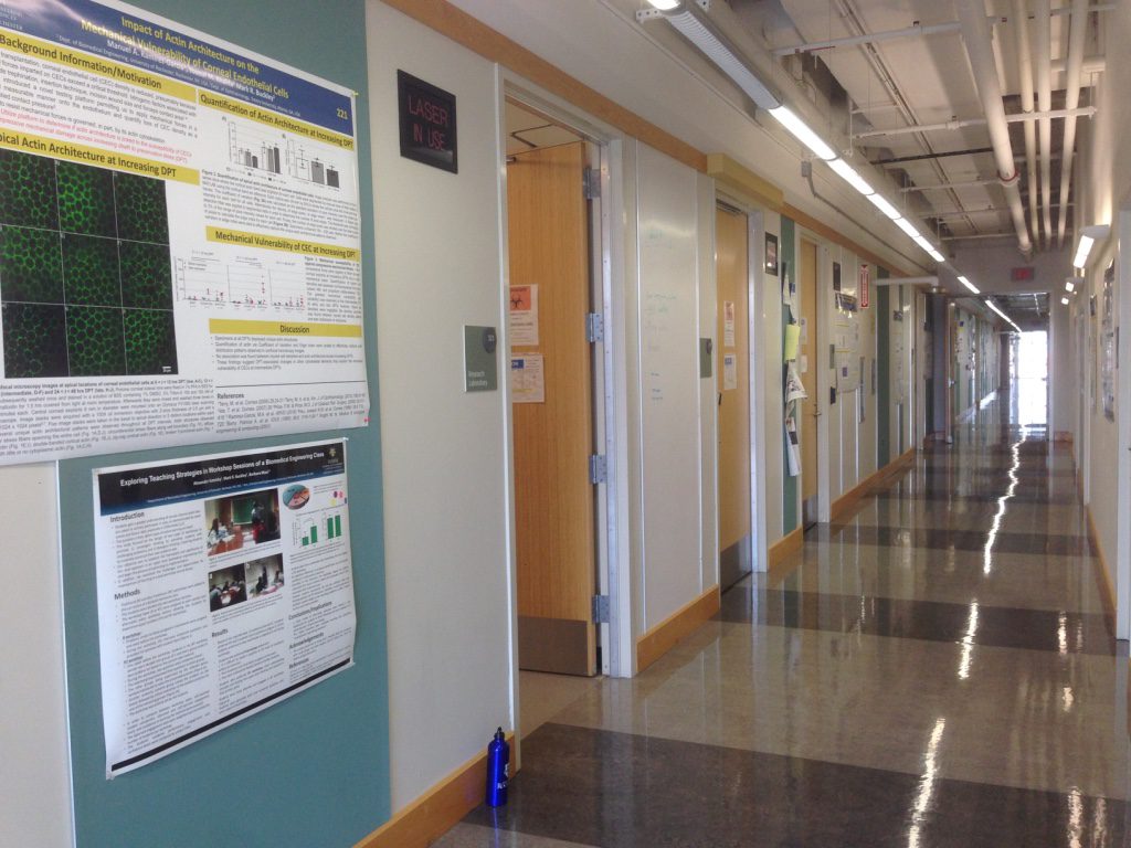 Hallway in Goergen Hall