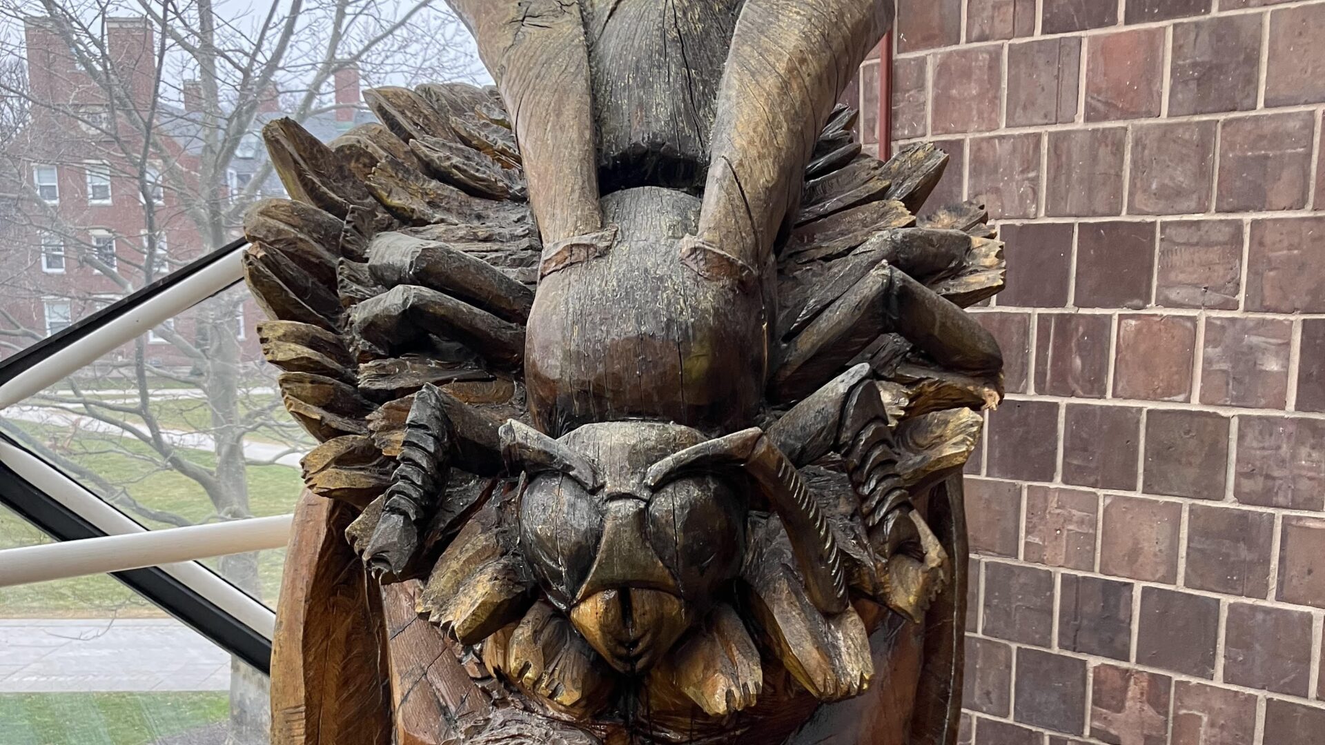 Yellowjacket Carving (Cropped)