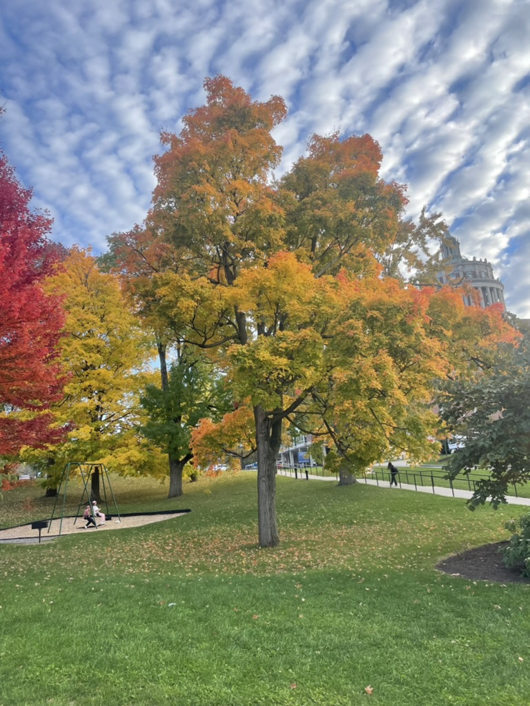 1B799D20-B21D-4809-A466-416FB8869592_1_105_c