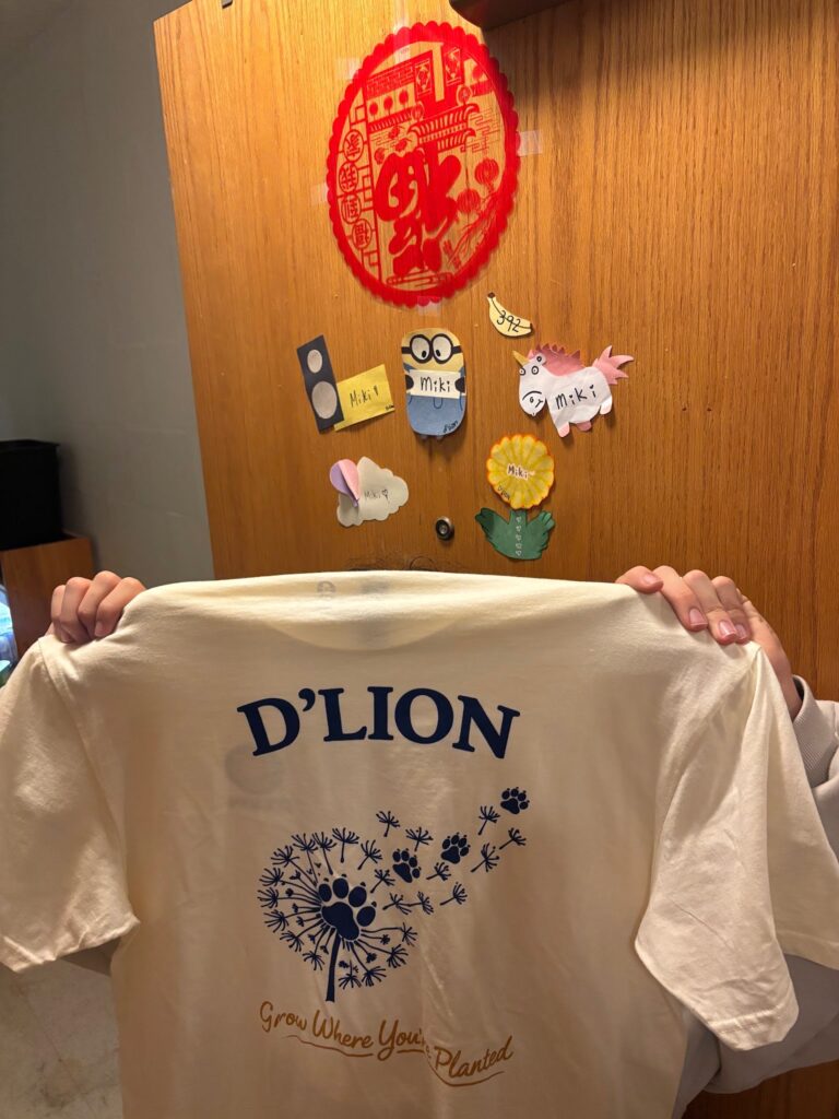 A person holds up and stands behind a t-shirt that says D'Lion.