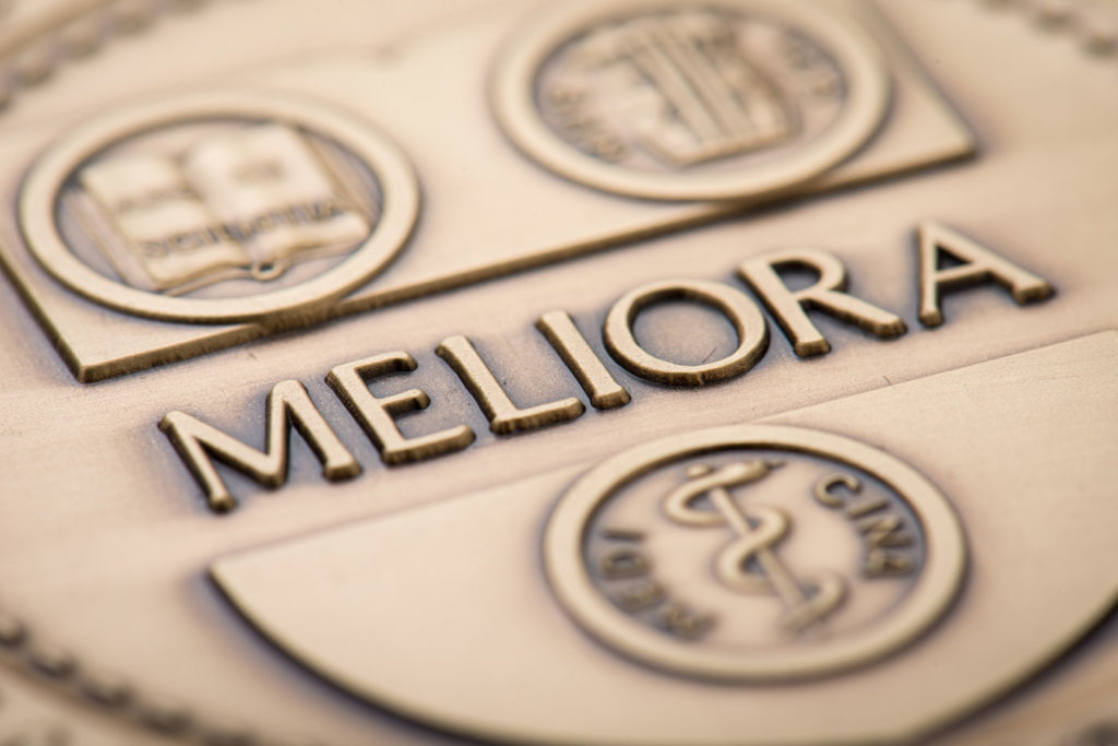 A close up of a Meliora medallion.