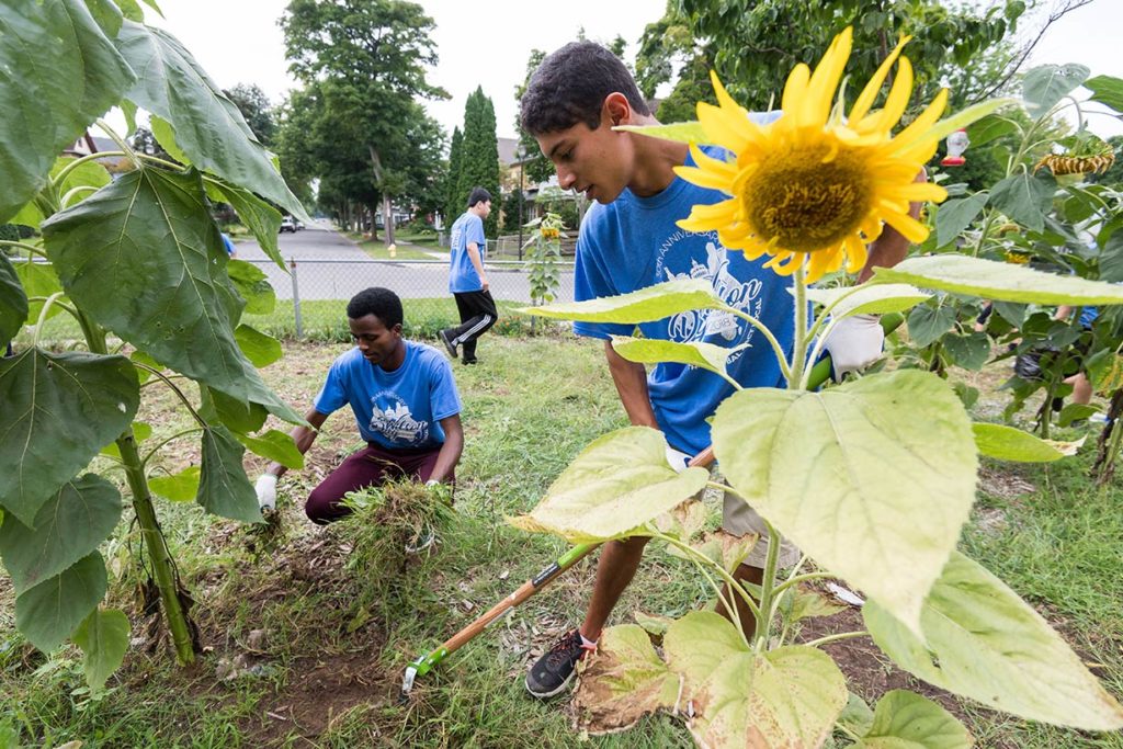 Students weed the community garden at Wilson Magnet High School.