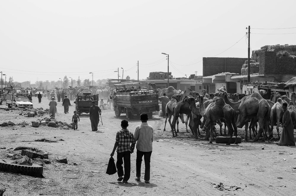 Camels, people, and trucks wander an unpaved road, a snapshot of a Mashtots grant recipient’s time in Egypt and the Middle East.