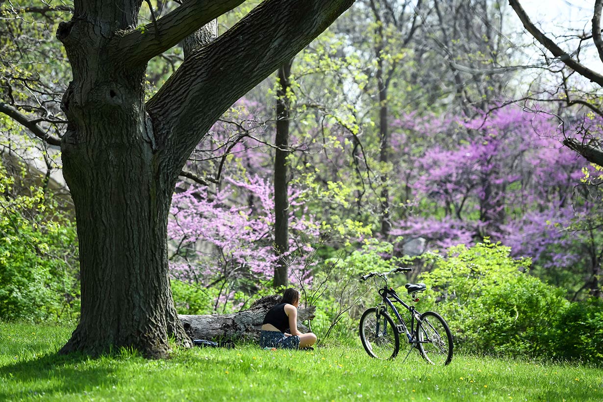 A student sitting in the park next to a bicycle.