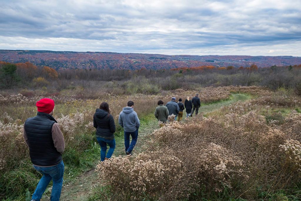 A group of people hiking in the Finger Lakes.