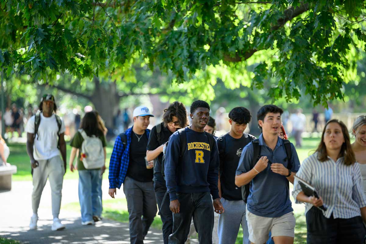 Students walk together along a tree-lined campus path.